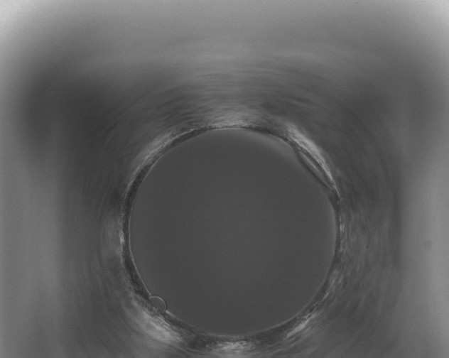 X0000062850059200601171522