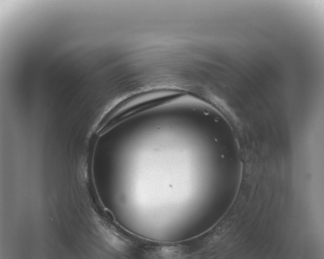 X0000062850060200601171522