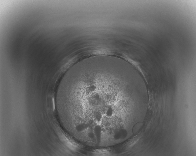 X0000062850061200601171522