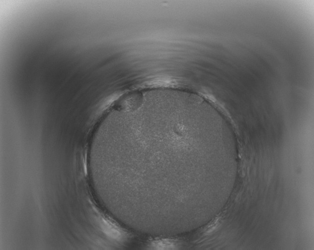 X0000062850062200601171522