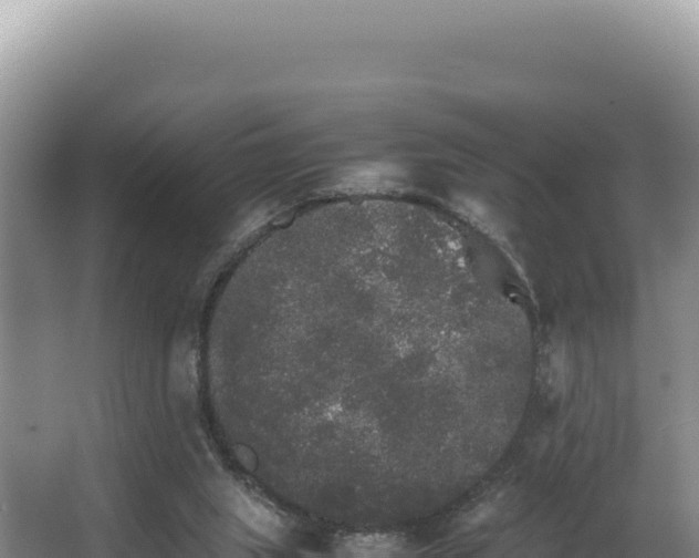 X0000062850063200601171522