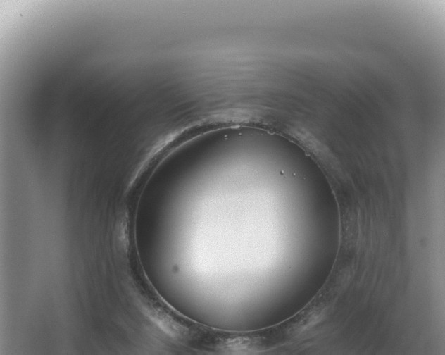 X0000062850064200601171522