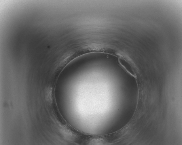 X0000062850066200601171522