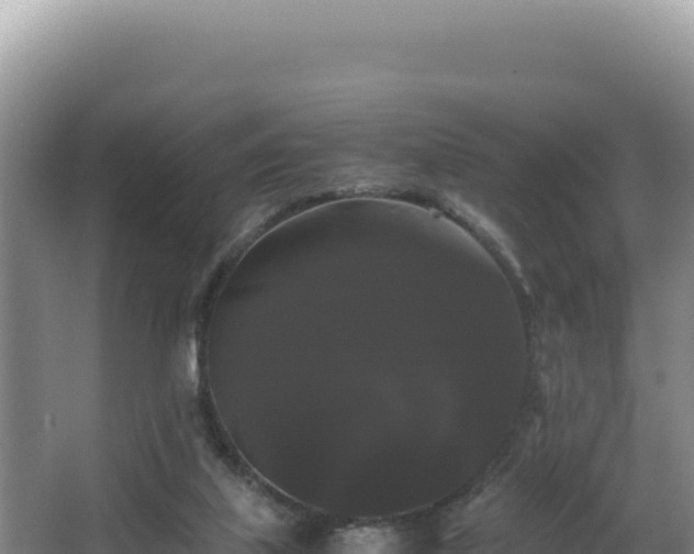 X0000062850067200601171522