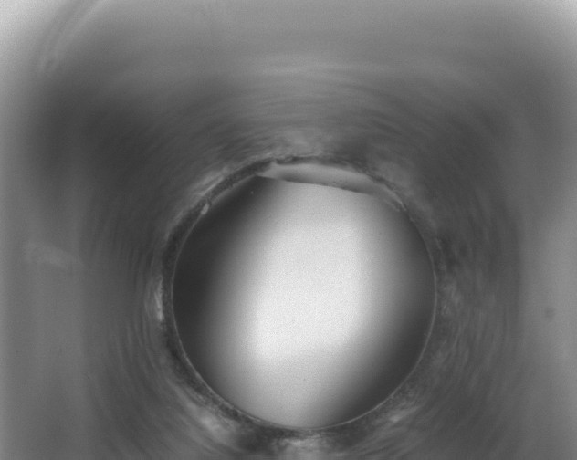 X0000062850068200601171522