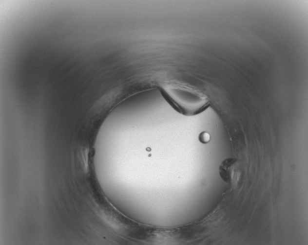 X0000062850070200601171522