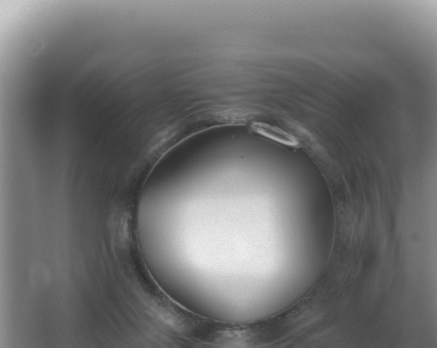 X0000062850071200601171522