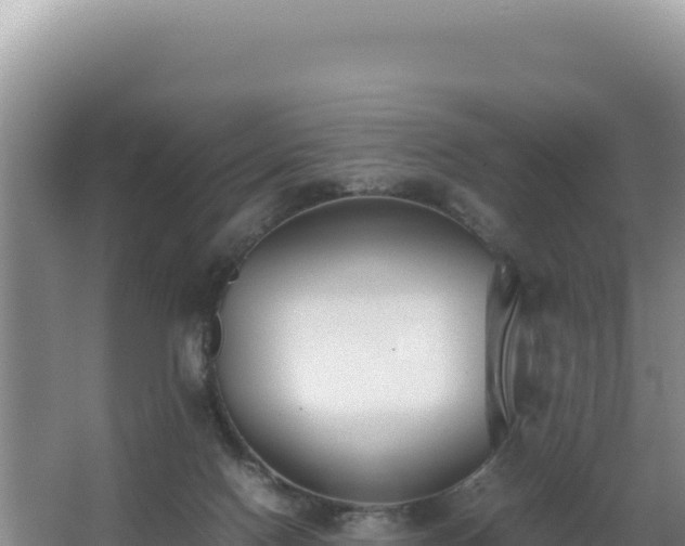 X0000062850074200601171522