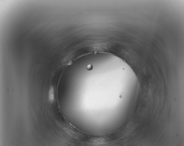 X0000062850075200601171522