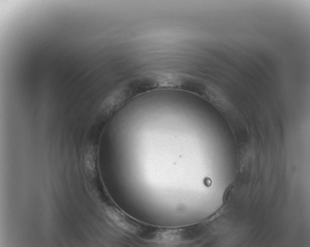 X0000062850078200601171522