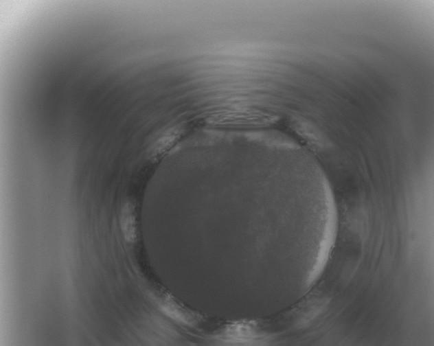 X0000062850080200601171522