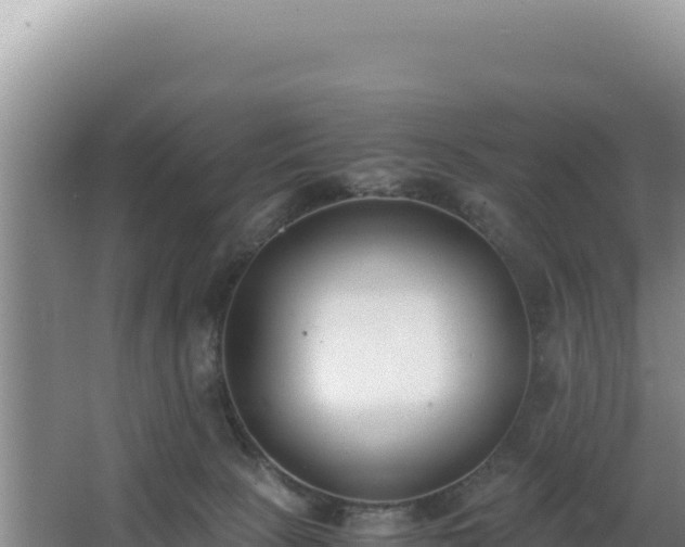 X0000062850081200601171522