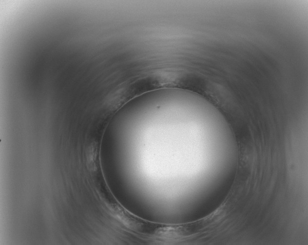 X0000062850082200601171522