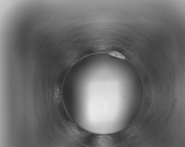 X0000062850087200601171522