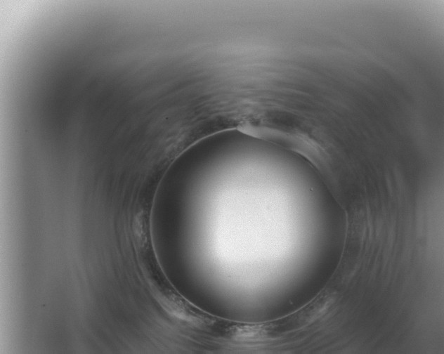 X0000062850088200601171522