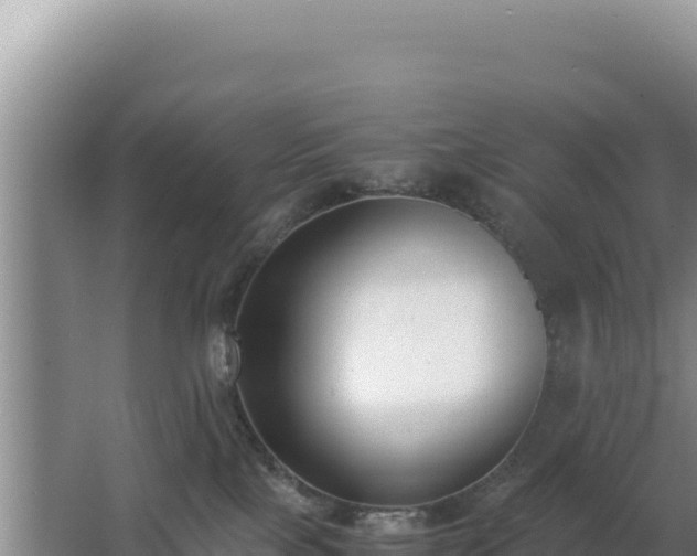 X0000062850089200601171522