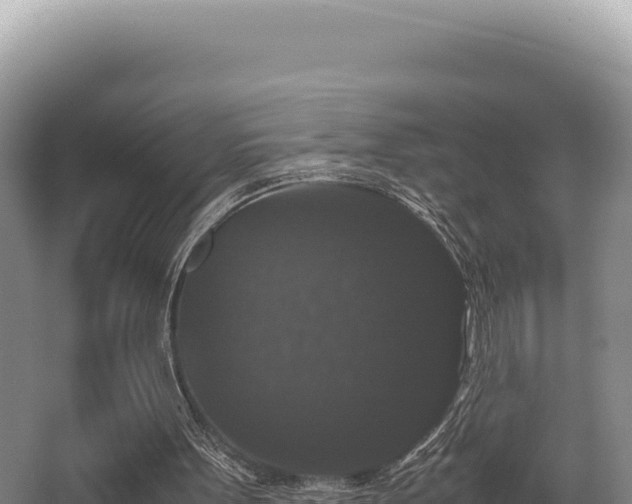 X0000062850099200601171521