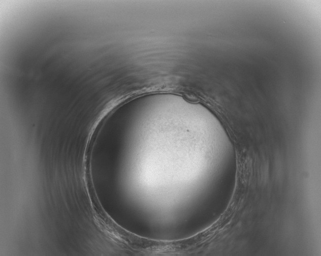 X0000062850100200601171521