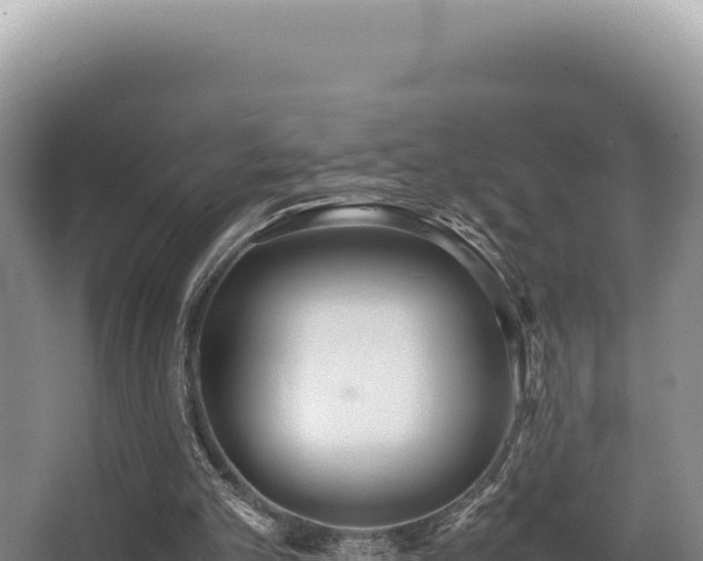 X0000062850101200601171521