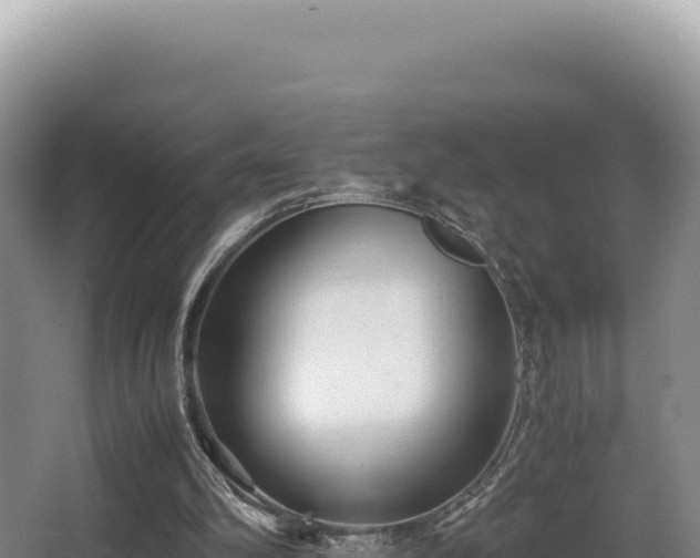 X0000062850102200601171521