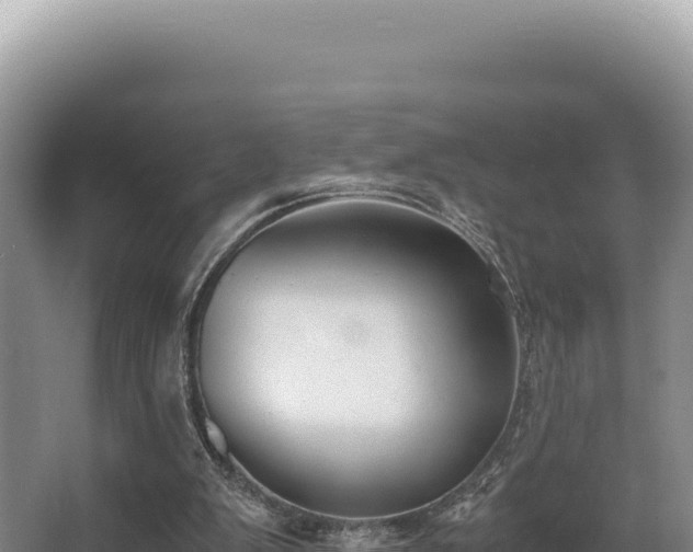 X0000062850103200601171521