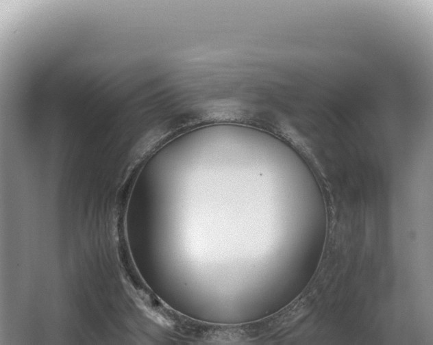 X0000062850106200601171521