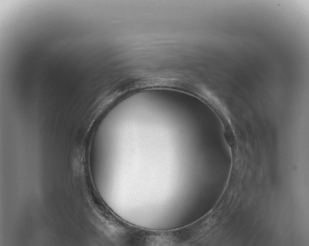 X0000062850107200601171521