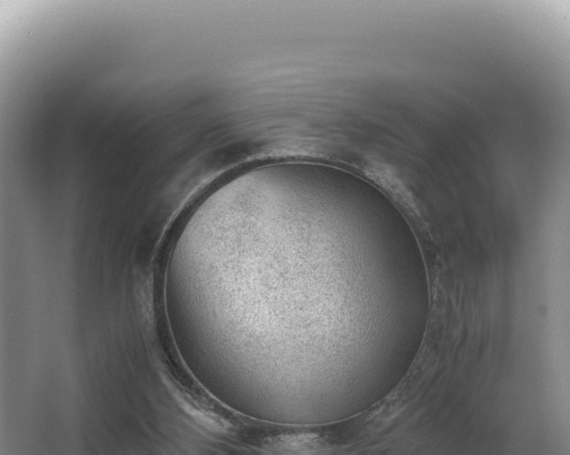 X0000062850108200601171521