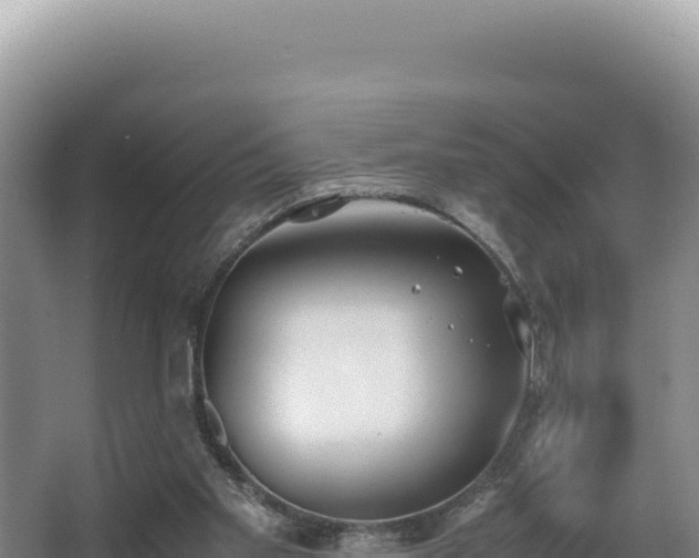 X0000062850109200601171521