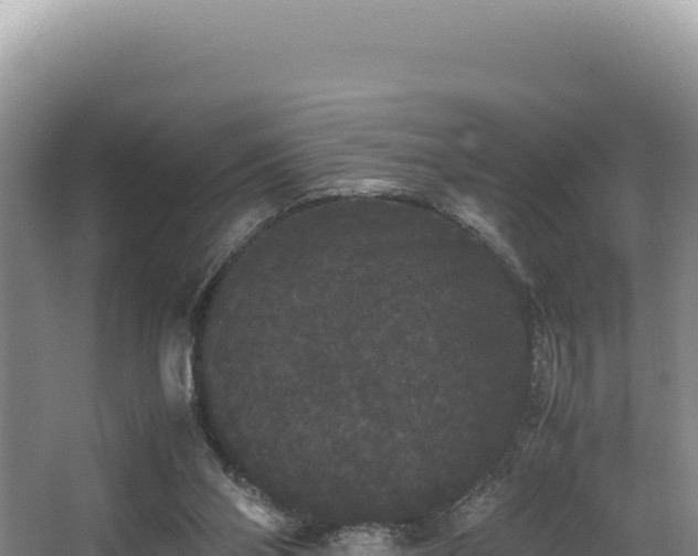 X0000062850110200601171521