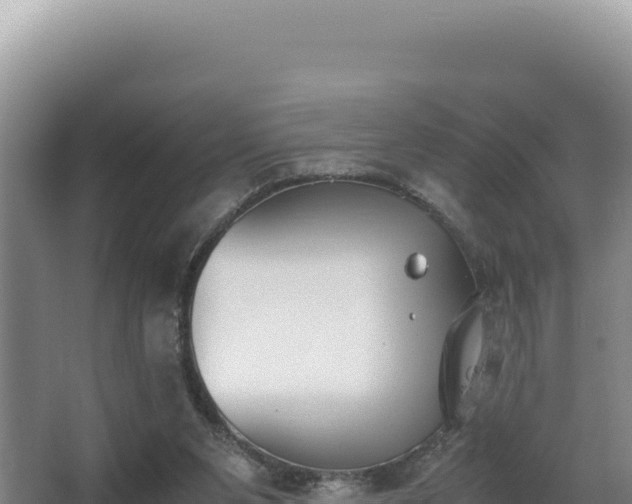 X0000062850111200601171521