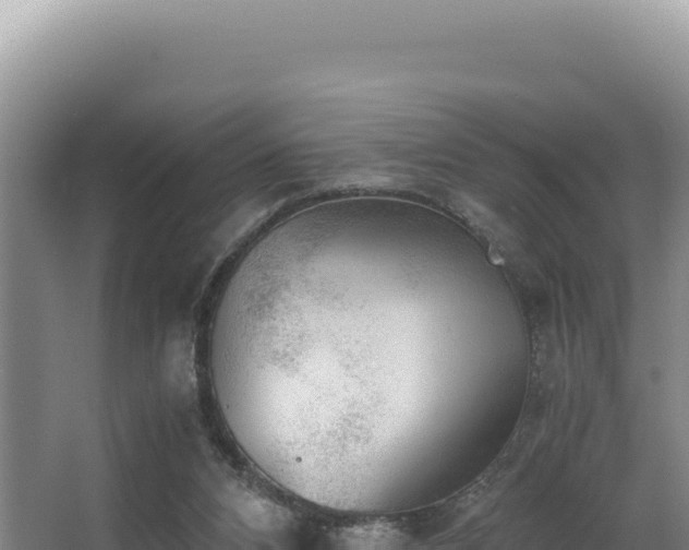 X0000062850112200601171521