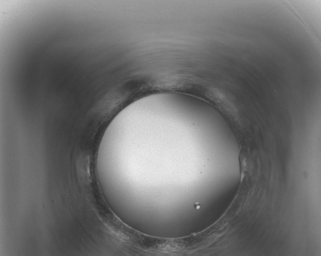 X0000062850115200601171521