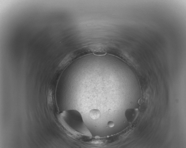 X0000062850117200601171521