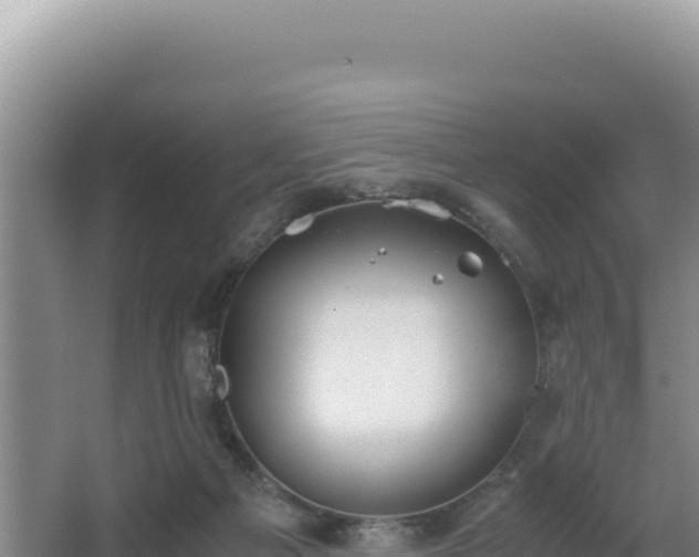 X0000062850121200601171521