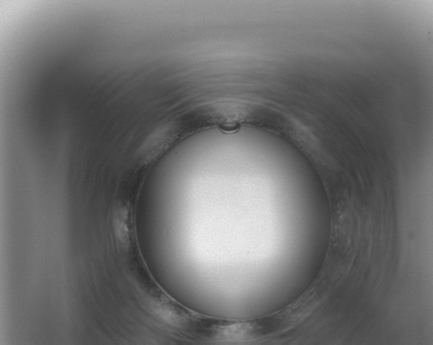 X0000062850122200601171521