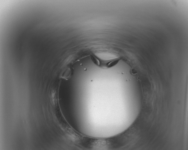 X0000062850123200601171521