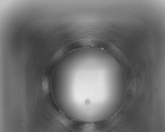 X0000062850124200601171521