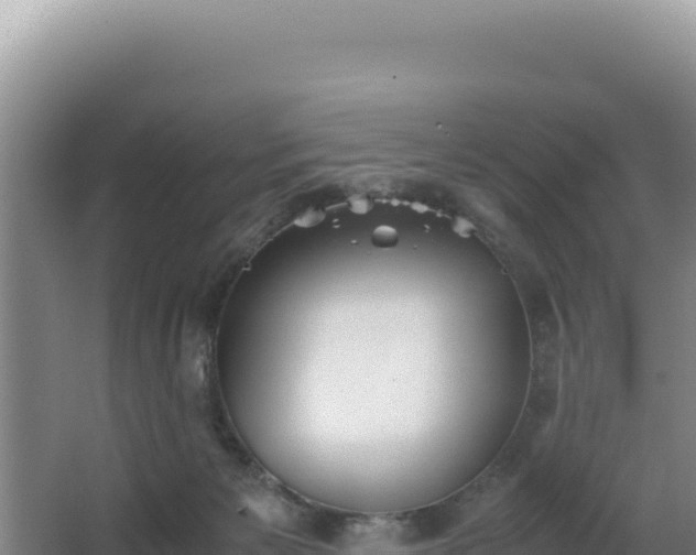 X0000062850125200601171521