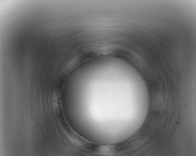 X0000062850126200601171521