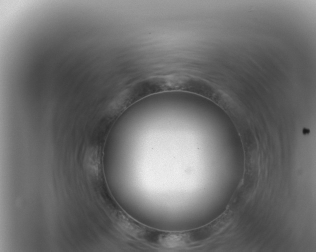 X0000062850129200601171521