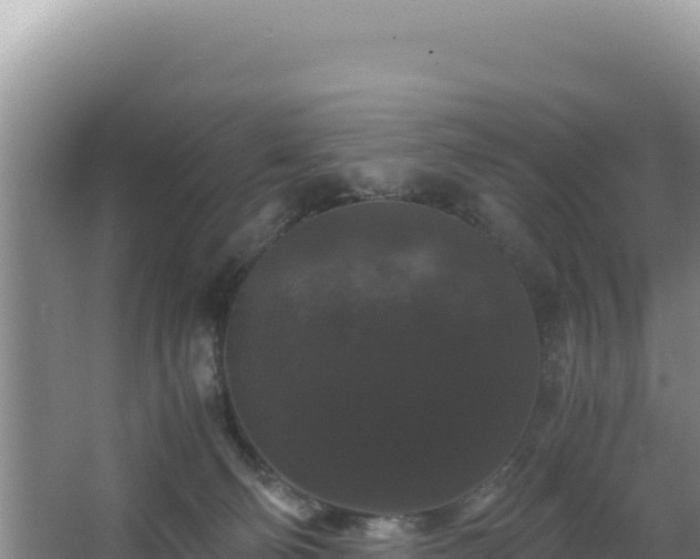 X0000062850130200601171521