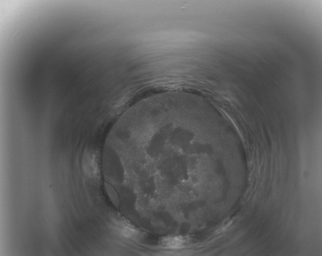 X0000062850131200601171521