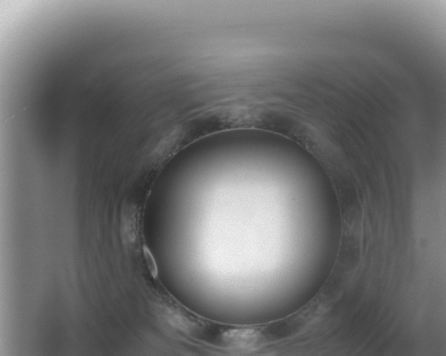 X0000062850133200601171521