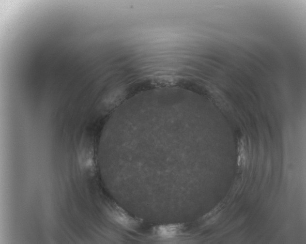 X0000062850134200601171521