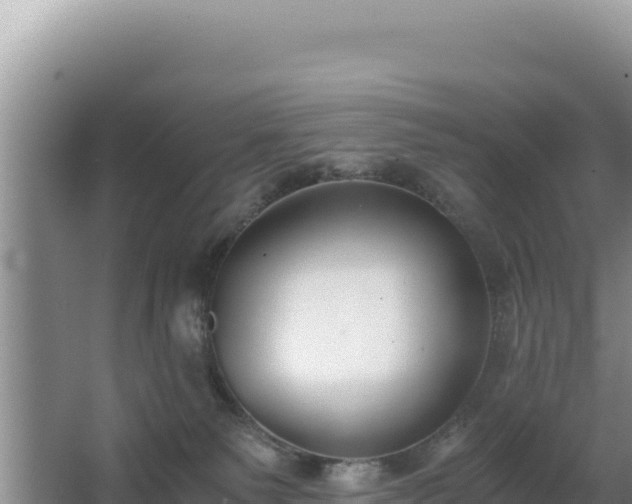 X0000062850135200601171521