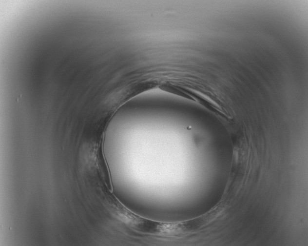 X0000062850141200601171521