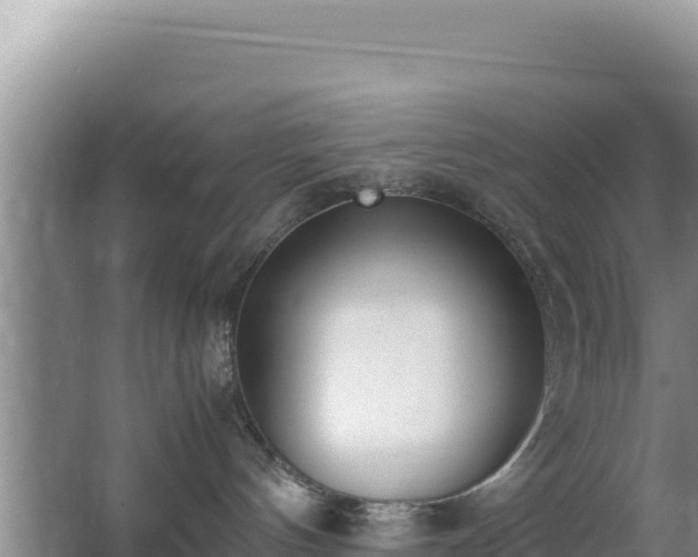 X0000062850144200601171521