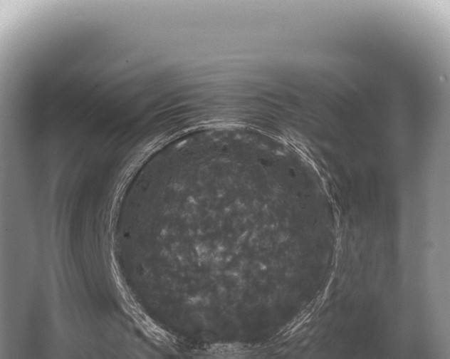 X0000062850145200601171520