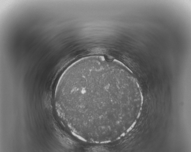 X0000062850146200601171520